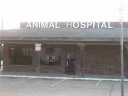 Rodeo Dr. Veterinary Hospital